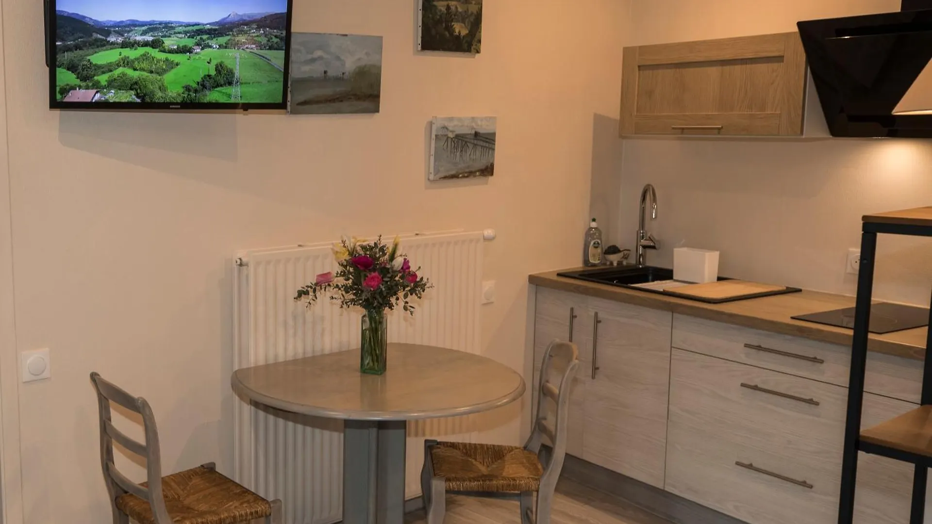 Agreable Logement Independant Avec Veranda Vienne  France